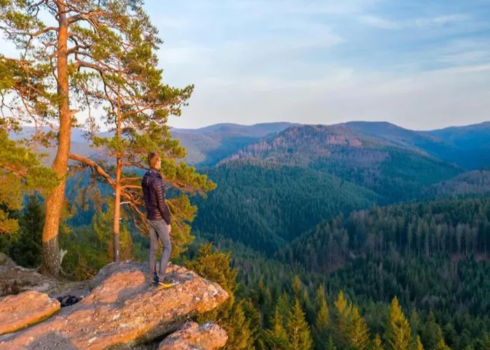 Wellness & Adventure Escape * Niderviller