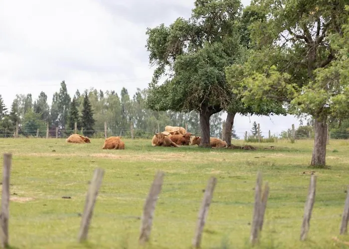 Wellness & Adventure Escape