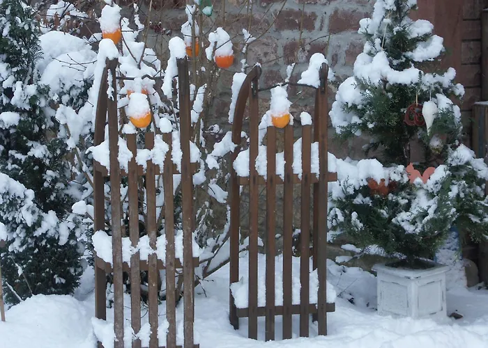 Dom wakacyjny Wellness & Adventure Escape