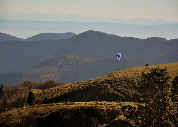 Dom wakacyjny Wellness & Adventure Escape